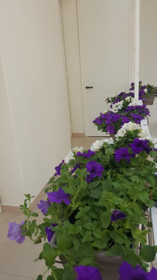 Matera Guest House Εξωτερικό φωτογραφία